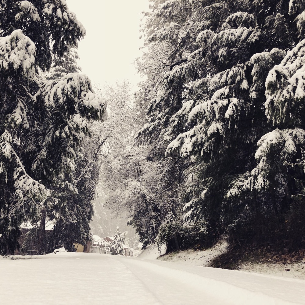 Meet your Posher, Caylee